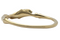 Curved Companion Band